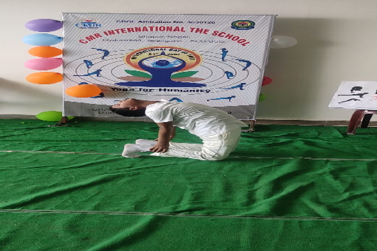 International Yoga  Day